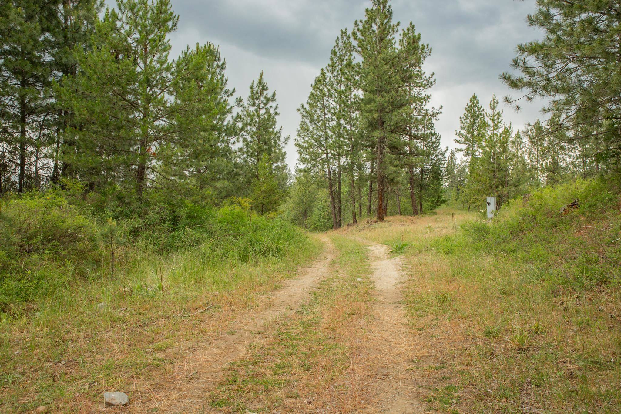 4110 Cemetery Rd, Springdale, WA 99137