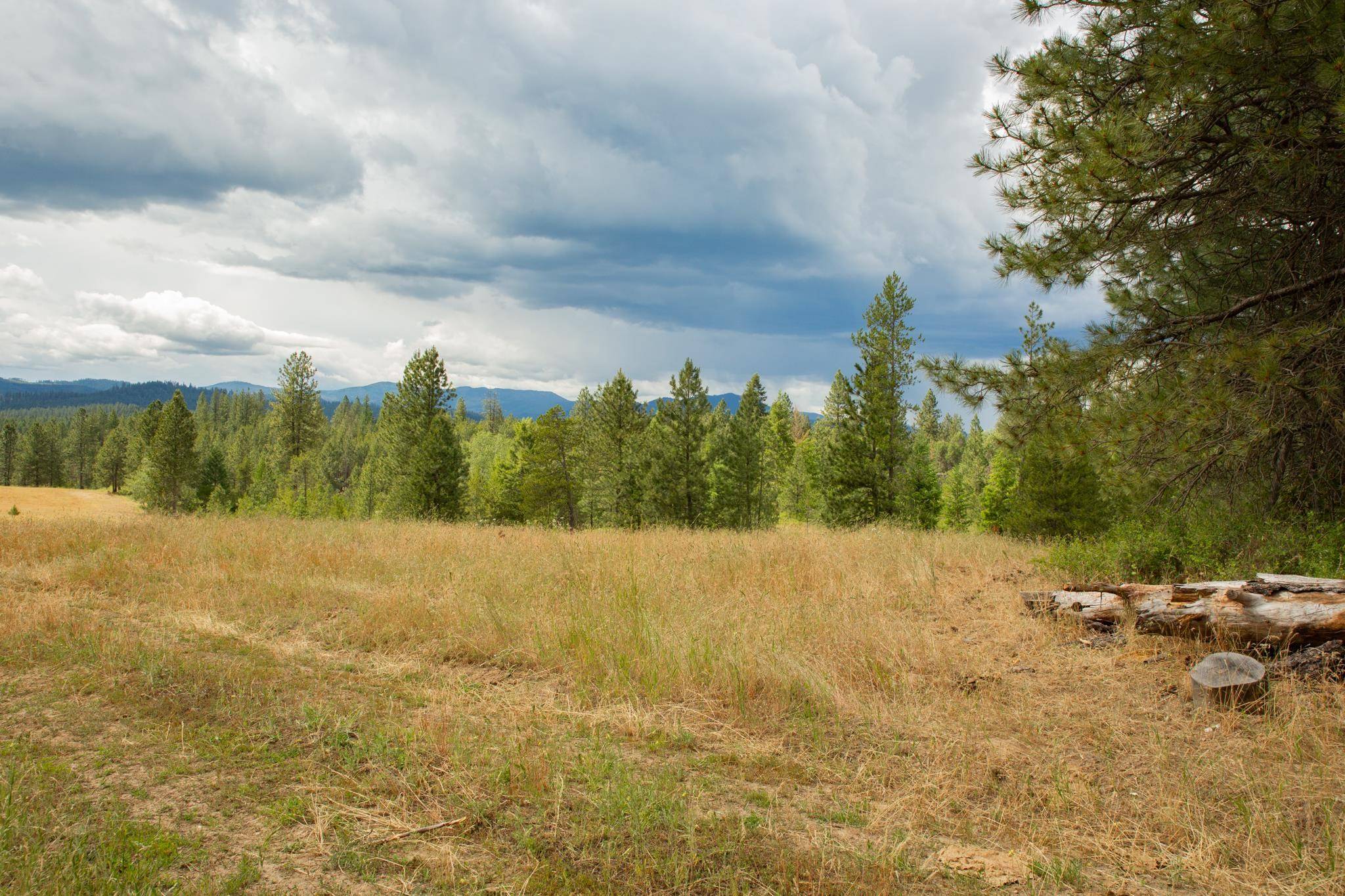 4110 Cemetery Rd, Springdale, WA 99137