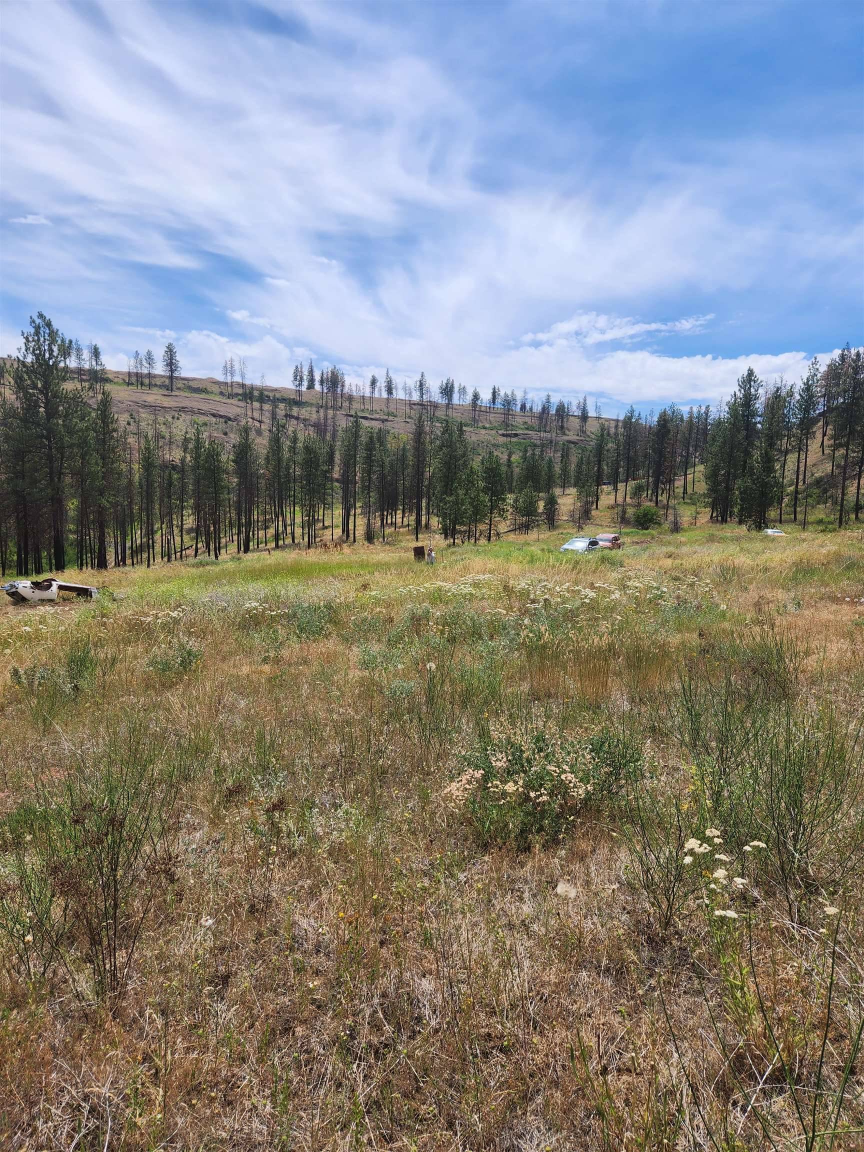 31XYZ Hawk Creek Ranch Rd, Davenport, WA 99122