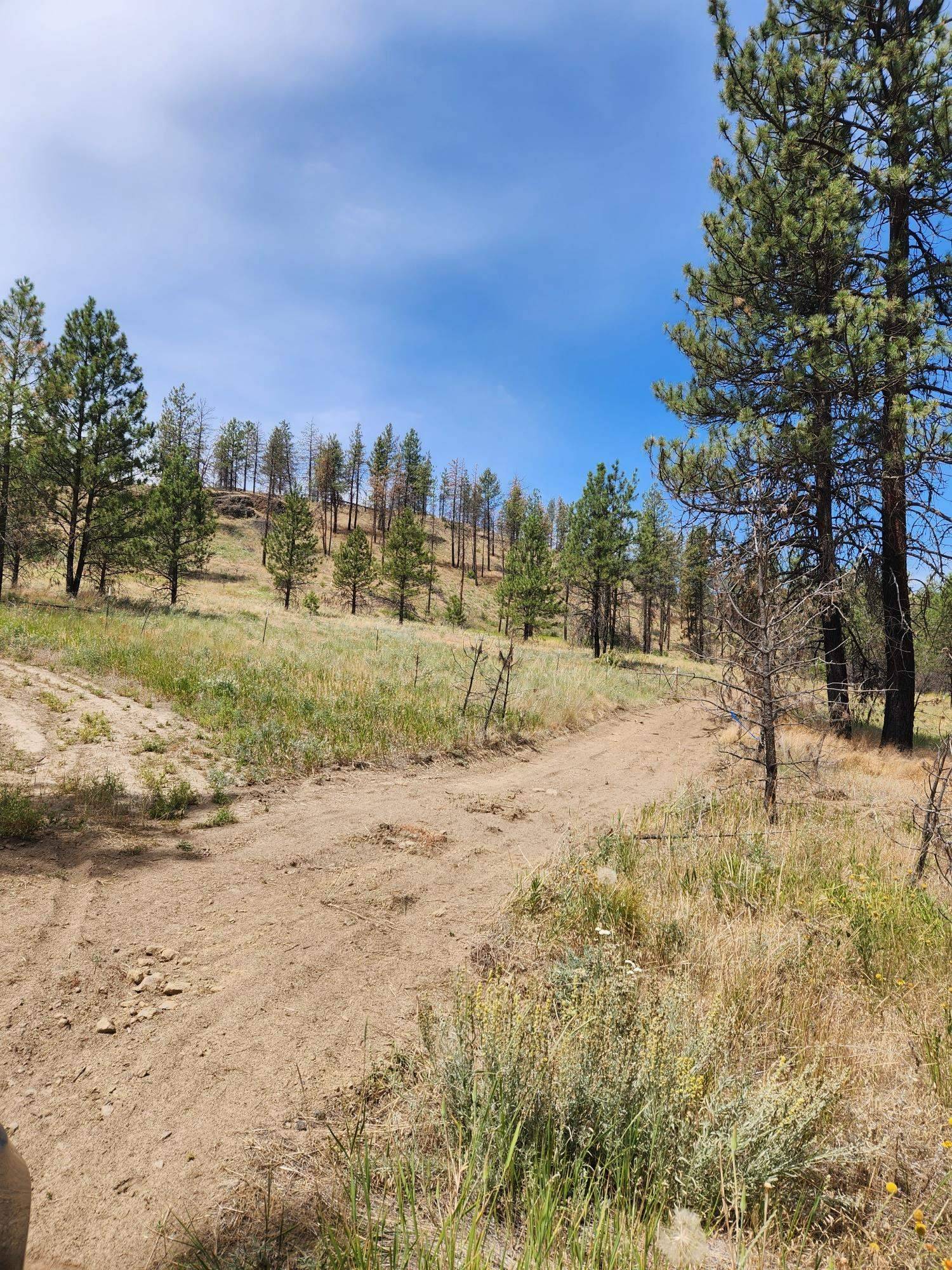 31XYZ Hawk Creek Ranch Rd, Davenport, WA 99122