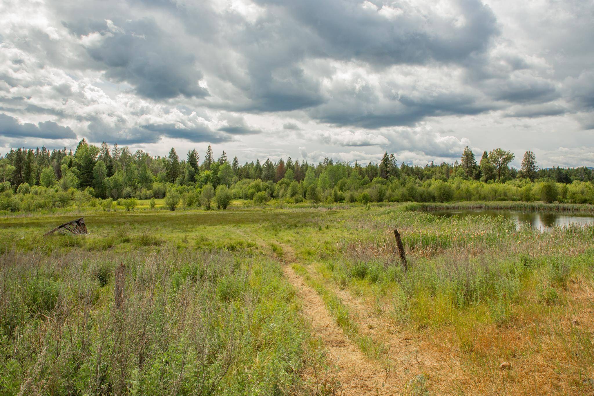 4110 Cemetery Tract AB Rd, Springdale, WA 99137