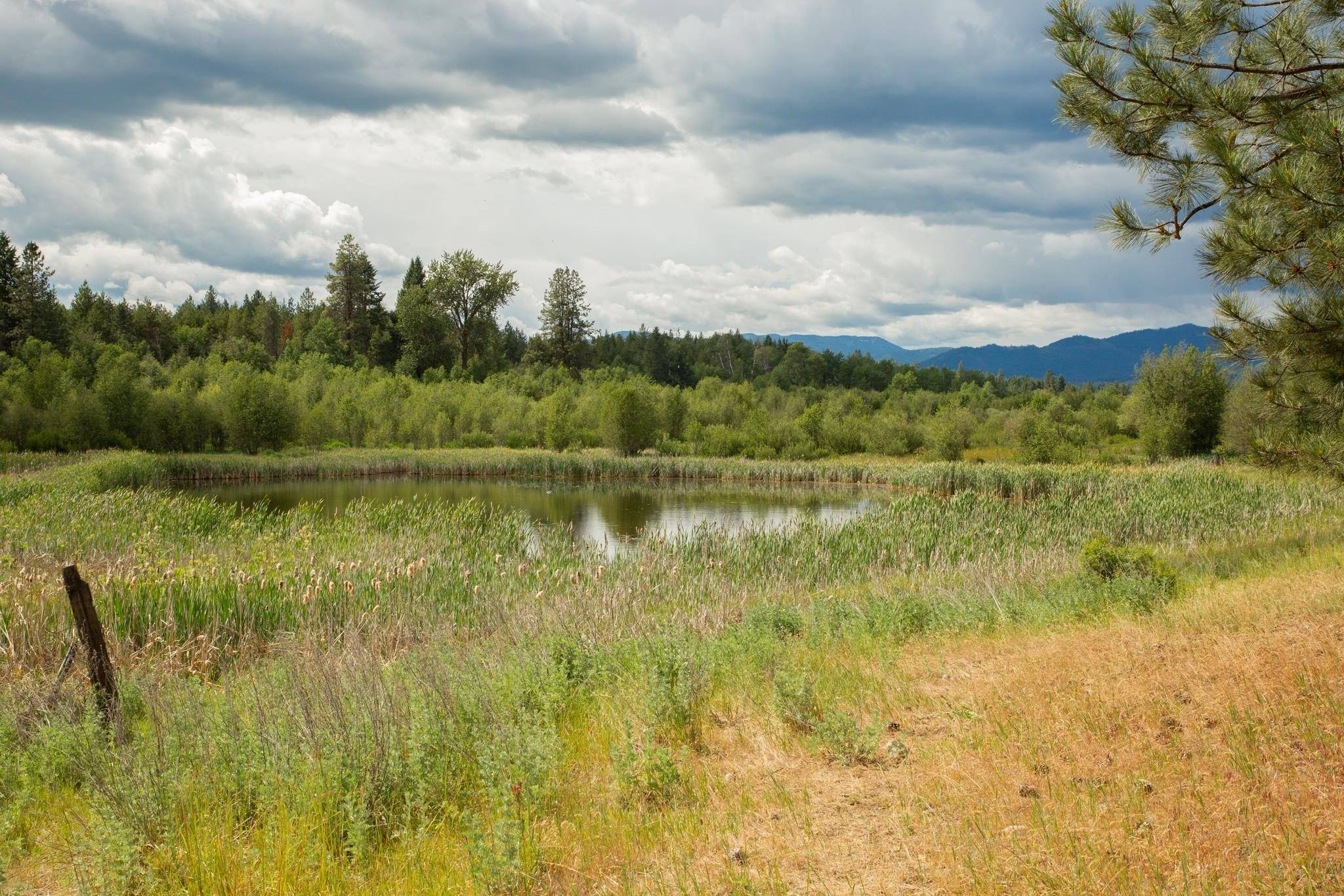 4110 Cemetery Tract AB Rd, Springdale, WA 99137