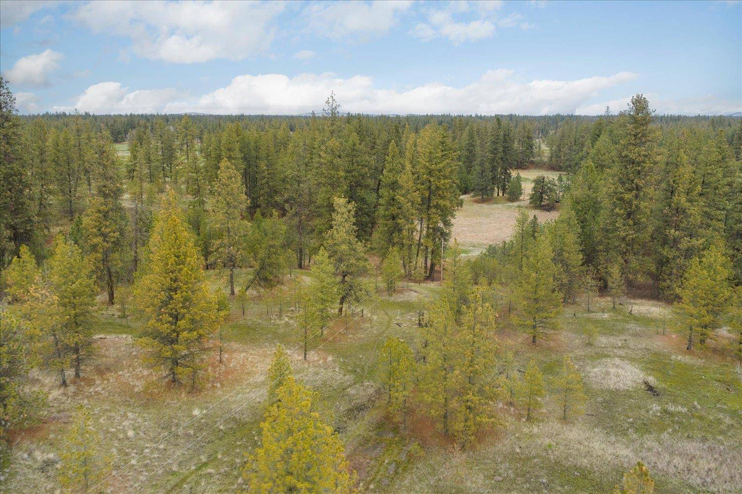 UNK S Cheney Plaza Rd #12242.9010, Cheney, WA 99004