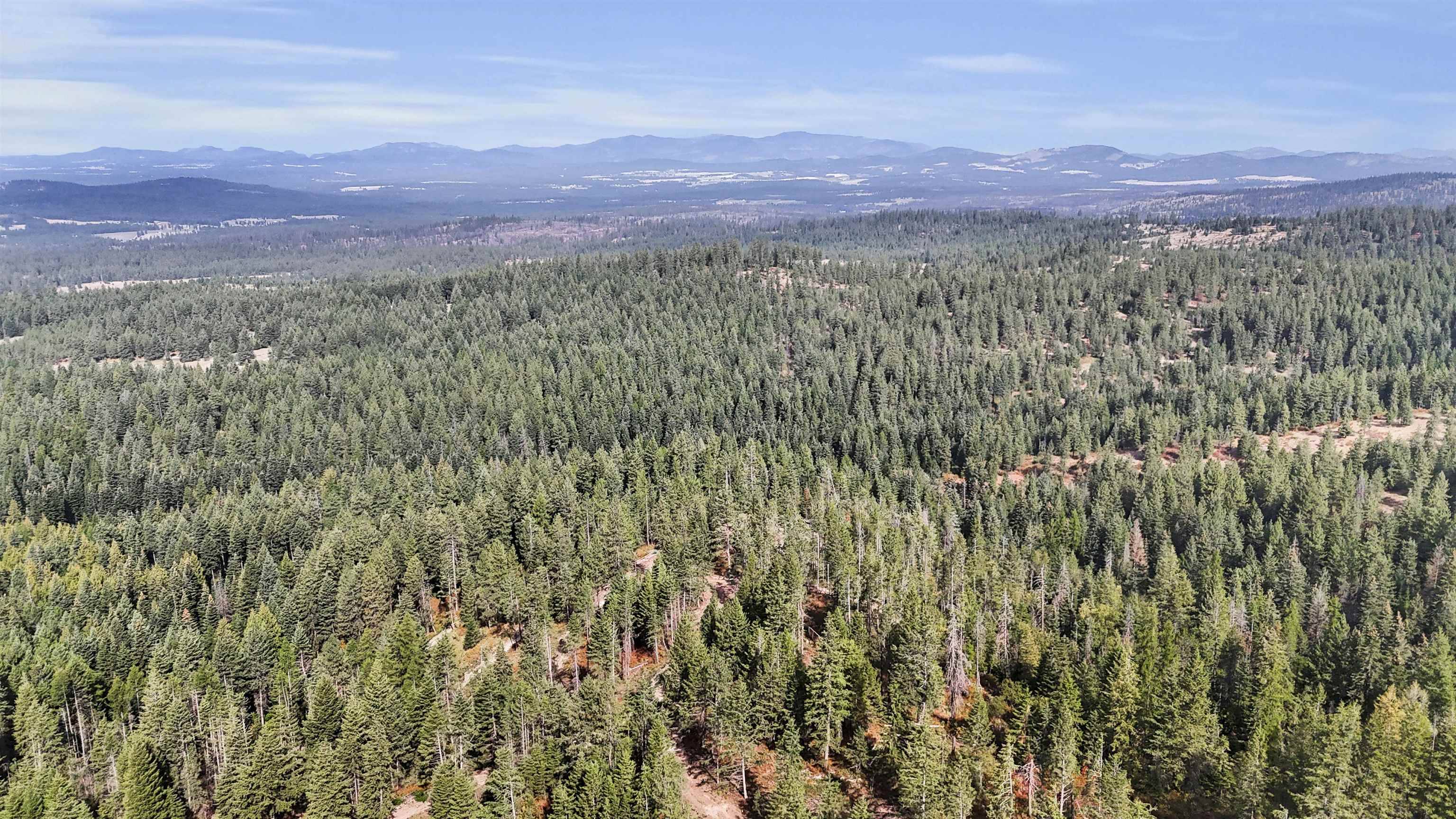 XXX E Deer Creek Rd, Chattaroy, WA 99003