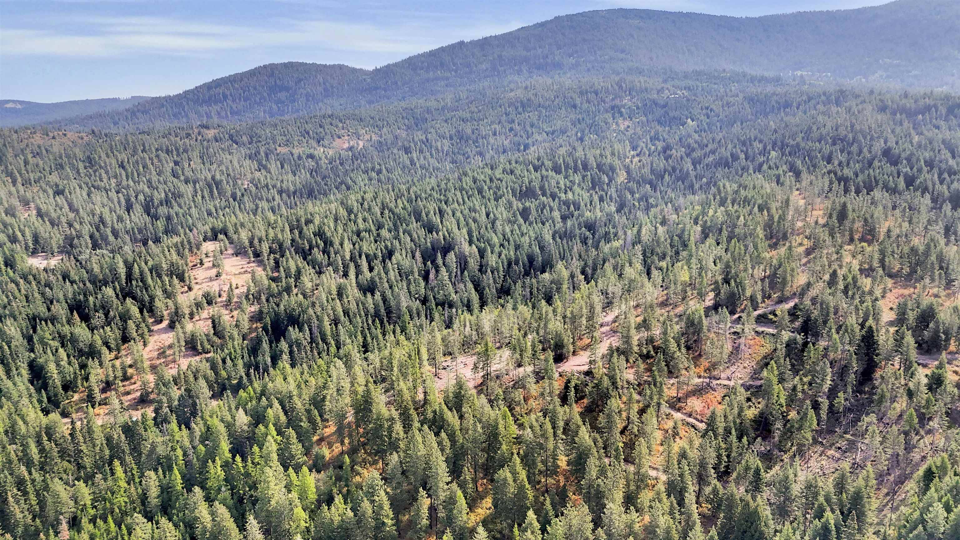 XXX E Deer Creek Rd, Chattaroy, WA 99003