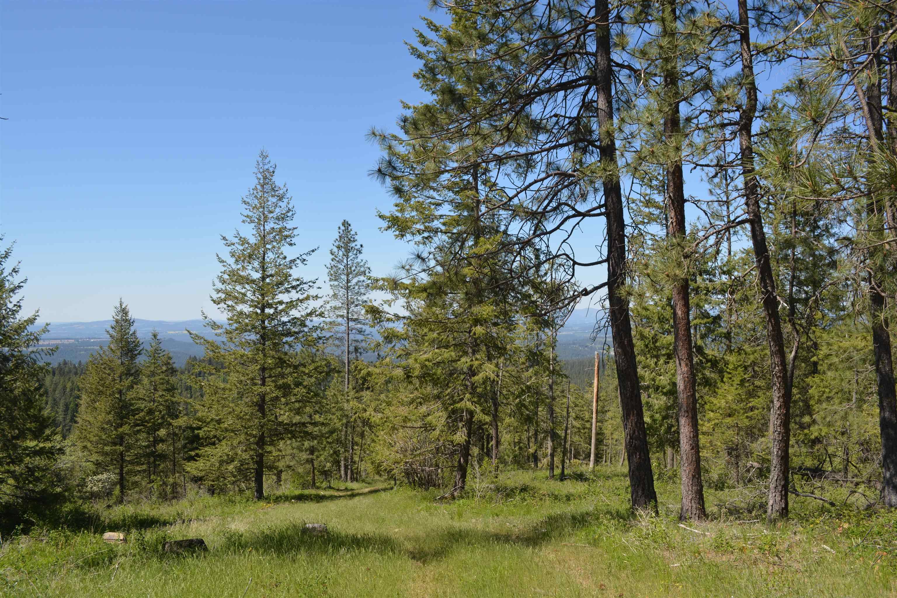 XXX E Deer Creek Rd, Chattaroy, WA 99003