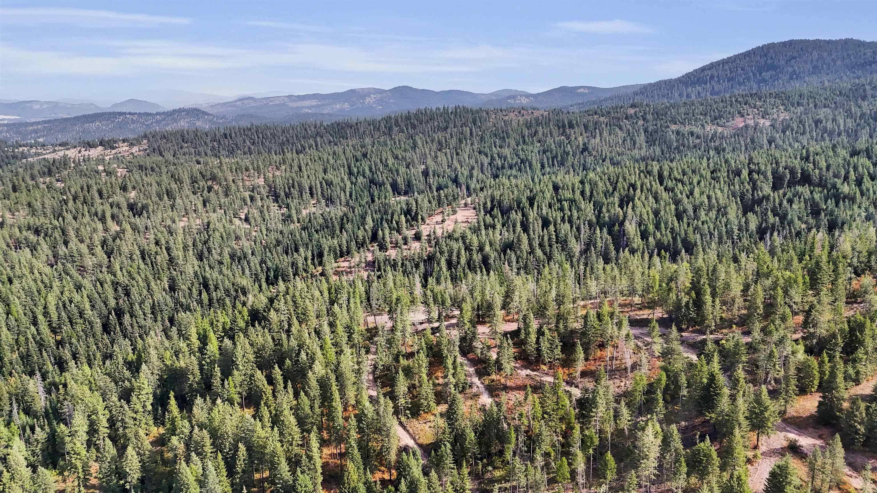 XXX E Deer Creek Rd, Chattaroy, WA 99003