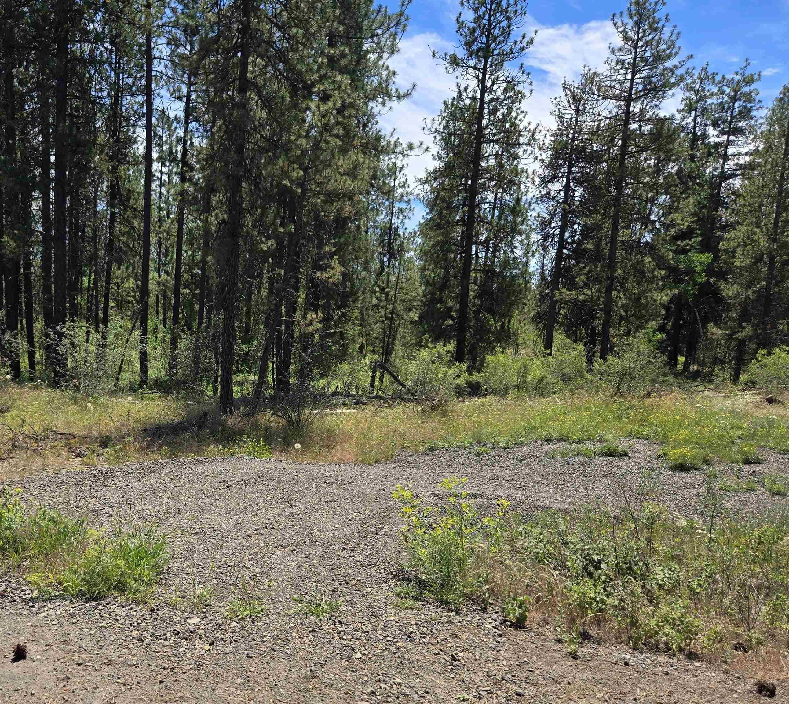 13711 W FARWELL Rd, Nine Mile Falls, WA 99026