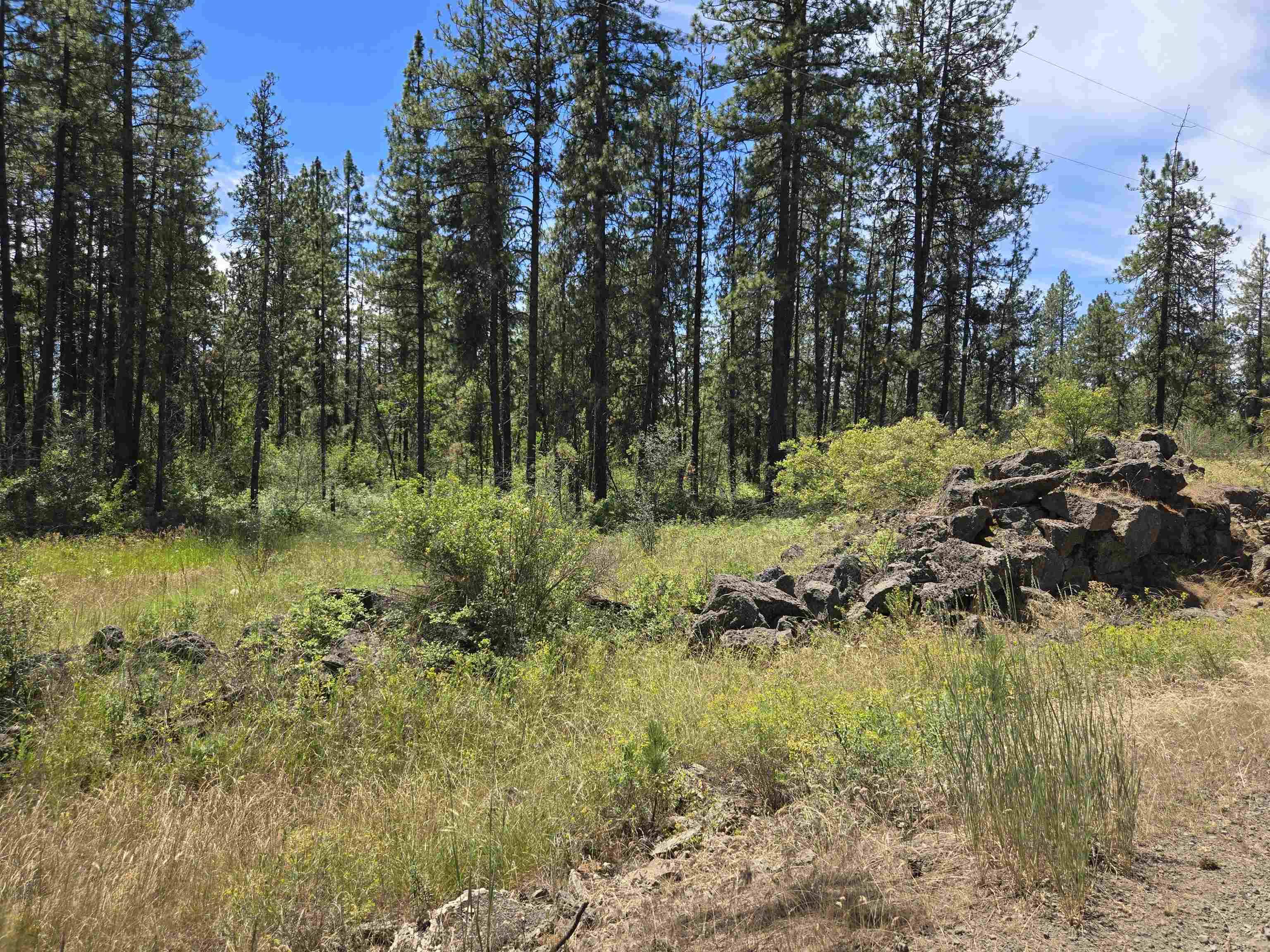 13711 W FARWELL Rd, Nine Mile Falls, WA 99026
