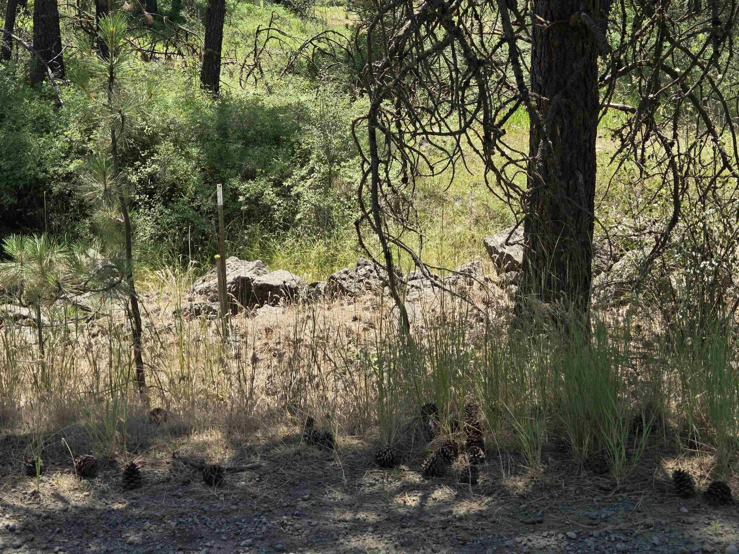 13711 W FARWELL Rd, Nine Mile Falls, WA 99026