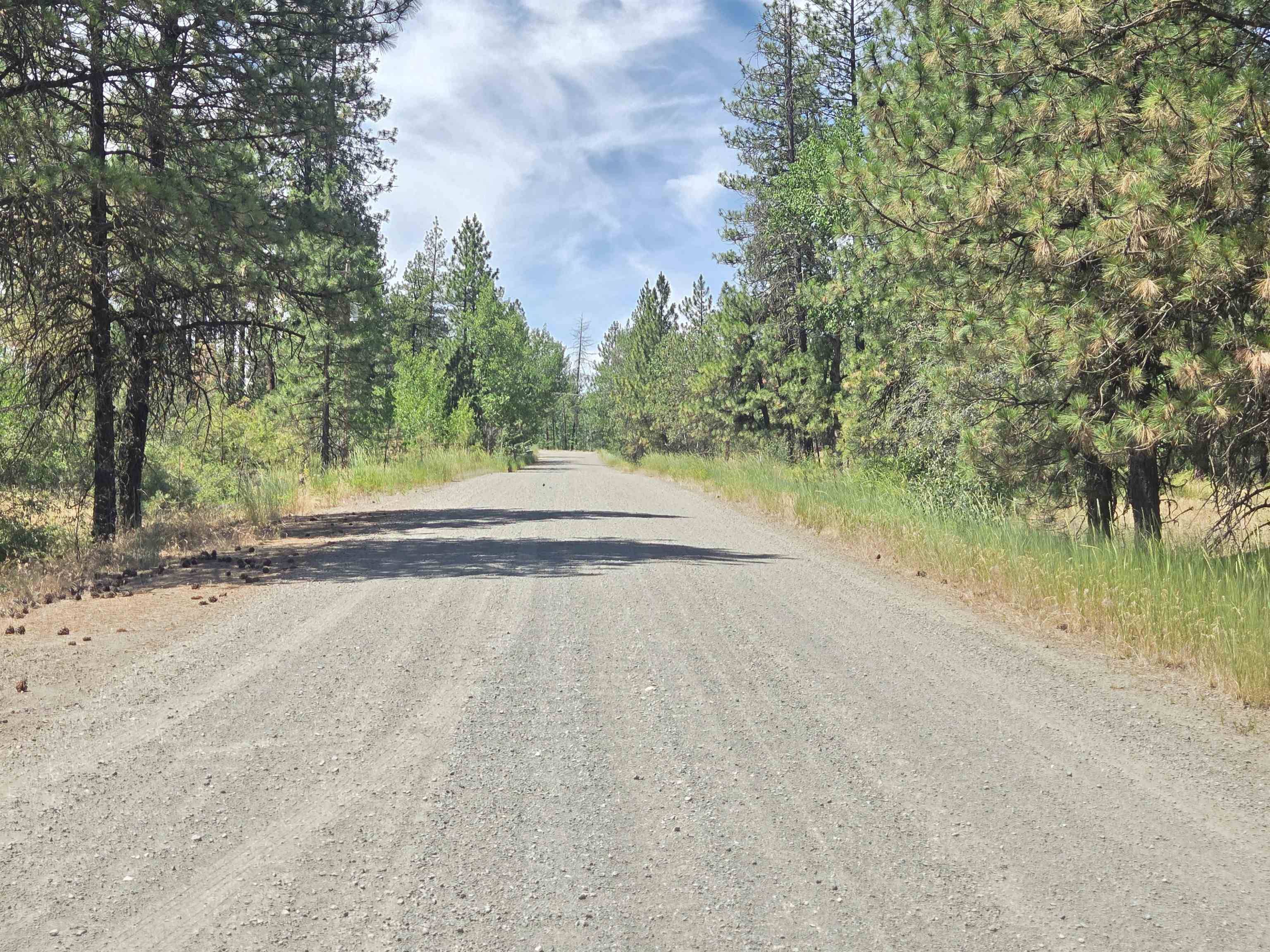 13711 W FARWELL Rd, Nine Mile Falls, WA 99026