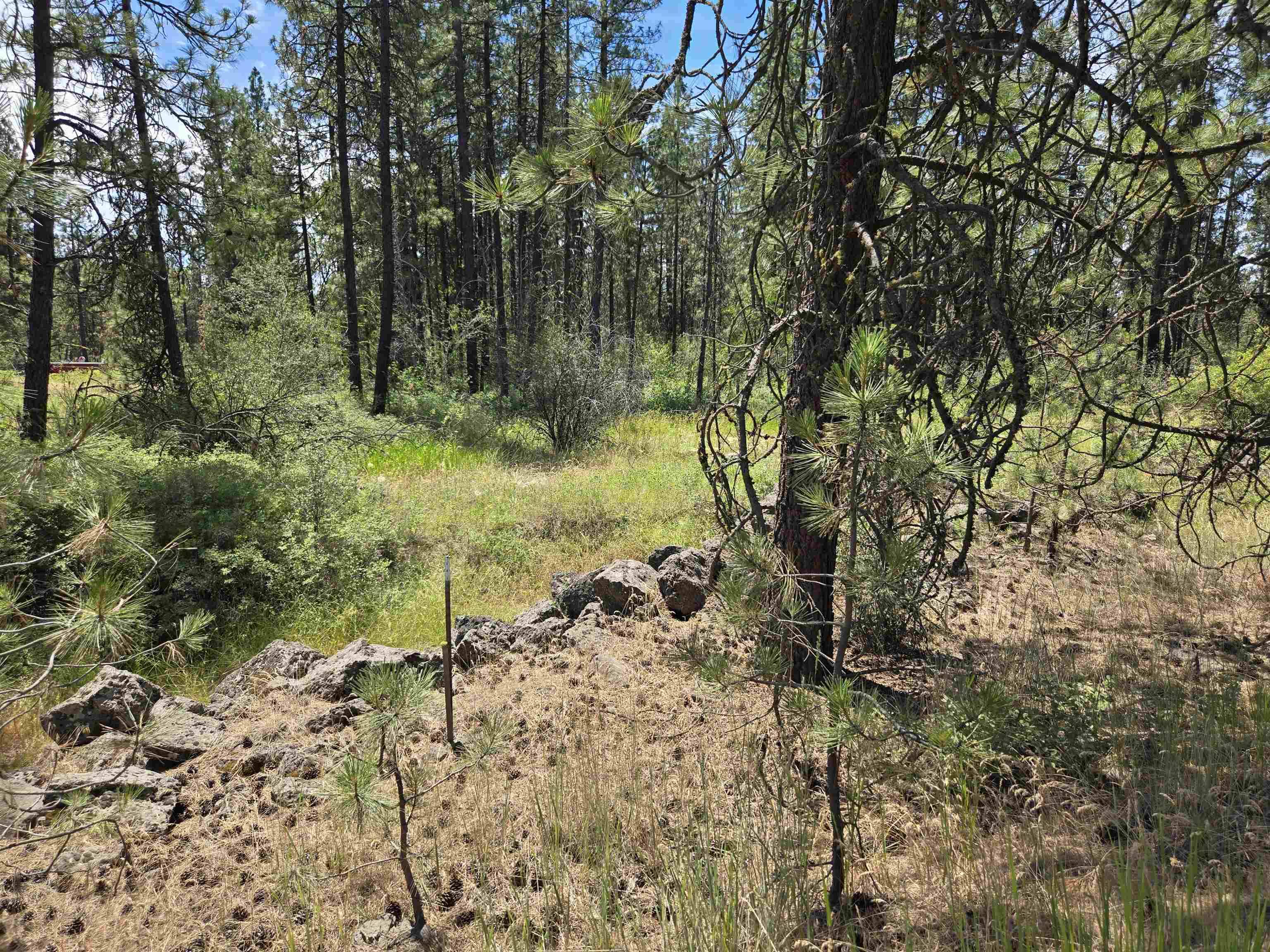 13711 W FARWELL Rd, Nine Mile Falls, WA 99026