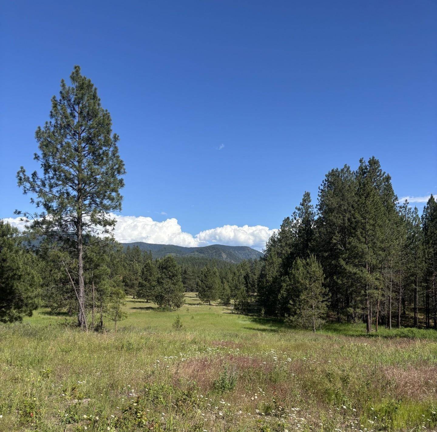 2392 Cozy Nook Rd, Chewelah, WA 99109
