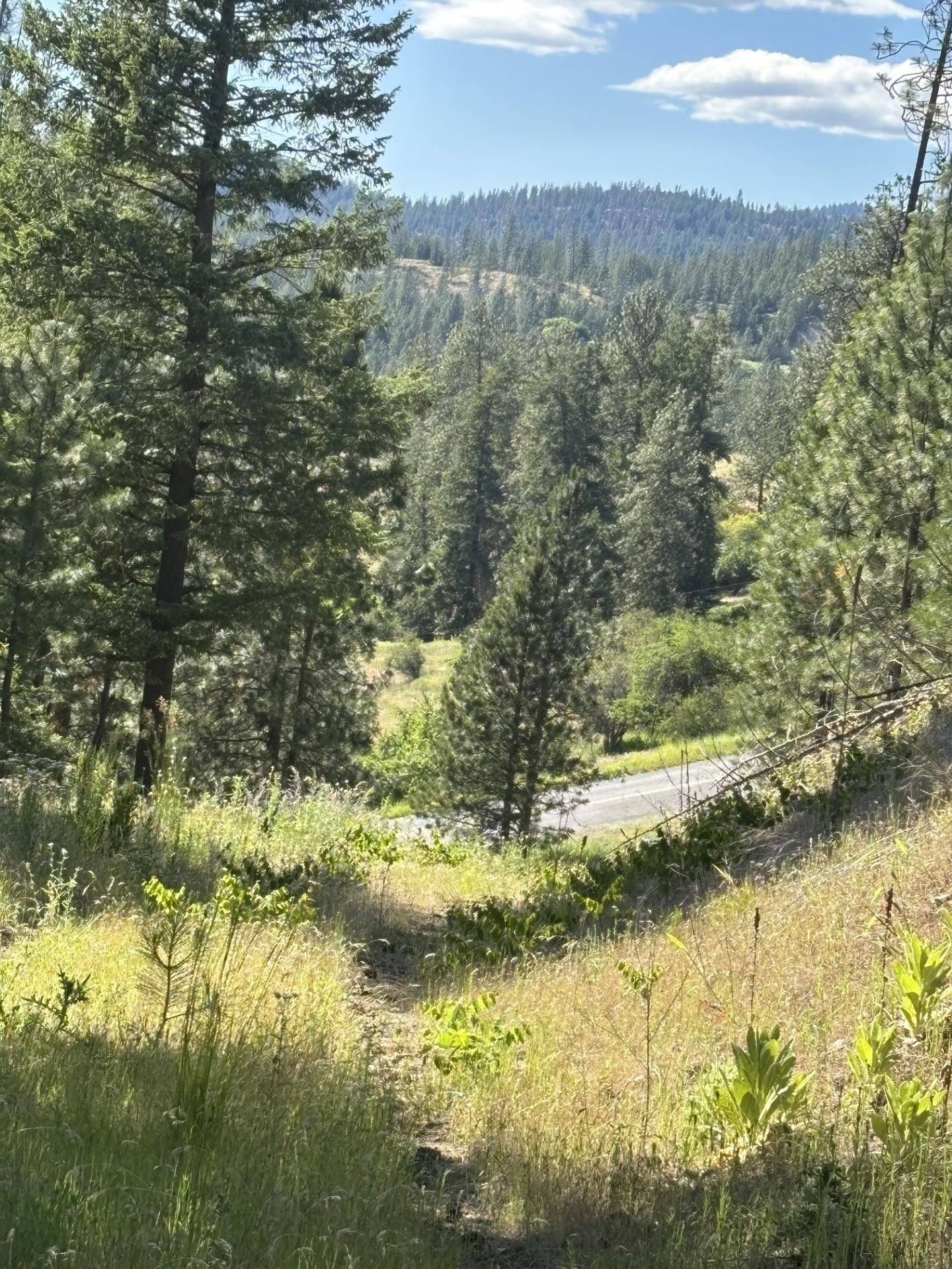 2392 Cozy Nook Rd, Chewelah, WA 99109