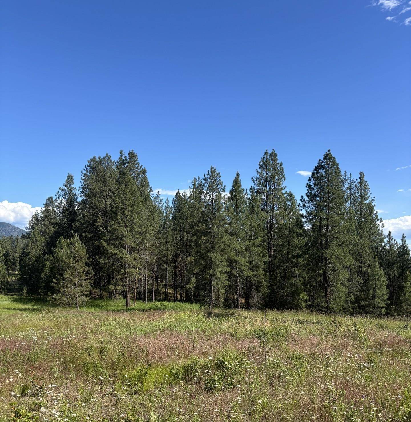 2392 Cozy Nook Rd, Chewelah, WA 99109