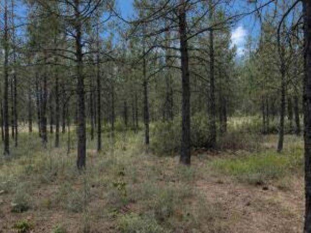 1213 FUMI Cir, Kettle Falls, WA 99141-9941