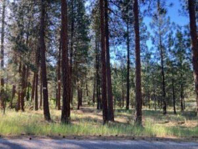 1213 FUMI Cir, Kettle Falls, WA 99141-9941