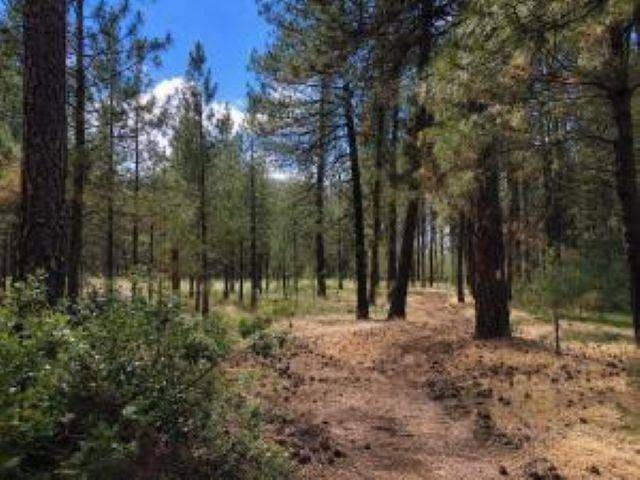 1213 FUMI Cir, Kettle Falls, WA 99141-9941