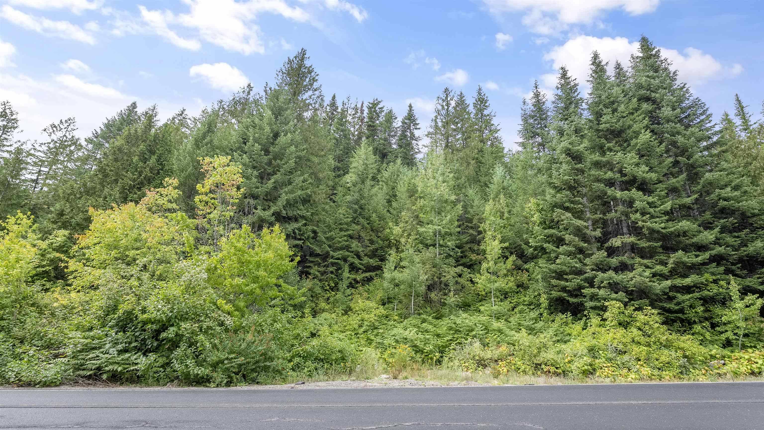 234XX N Mt Spokane Park Dr, Mead, WA 99021