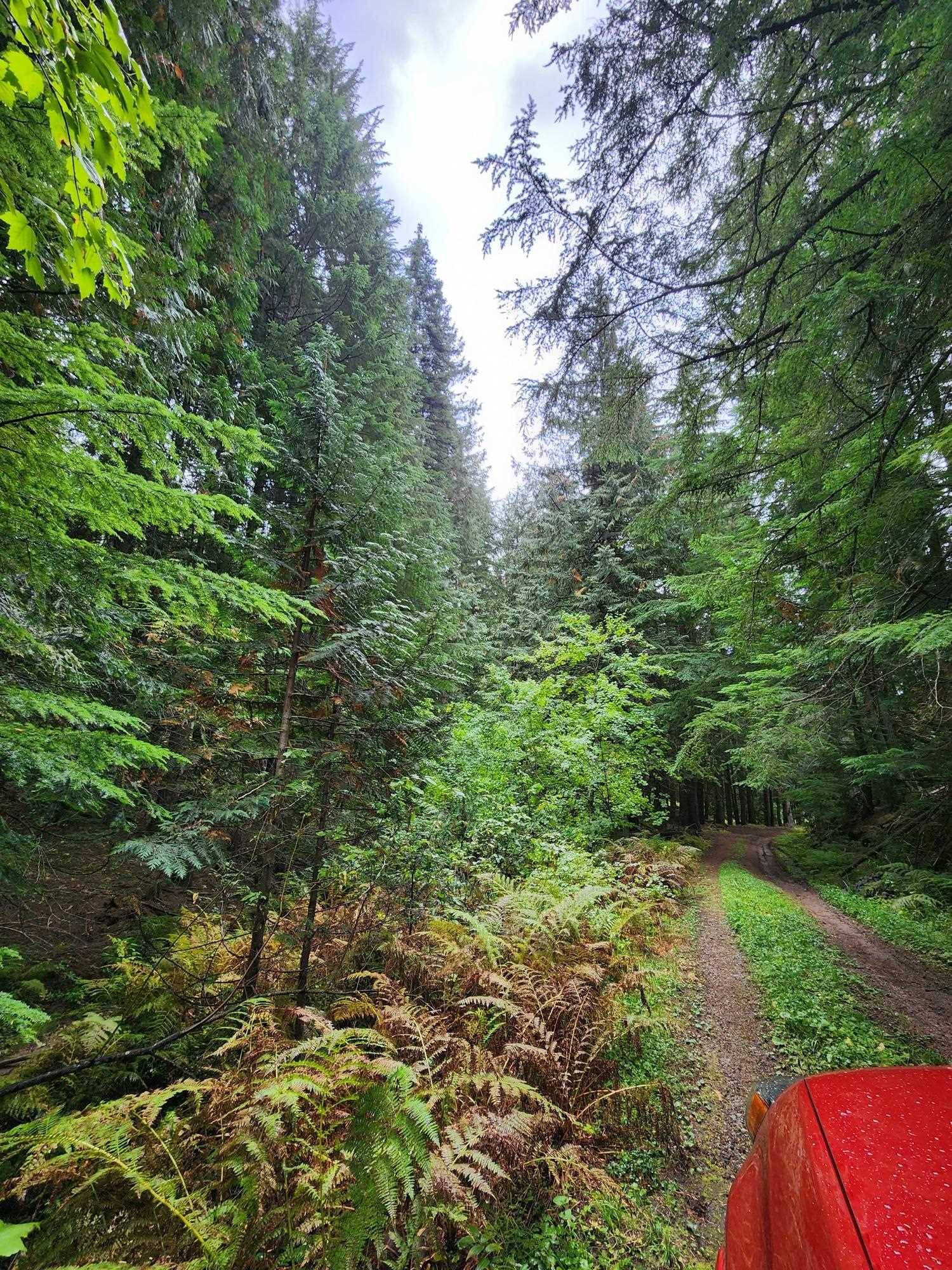 234XX N Mt Spokane Park Dr, Mead, WA 99021