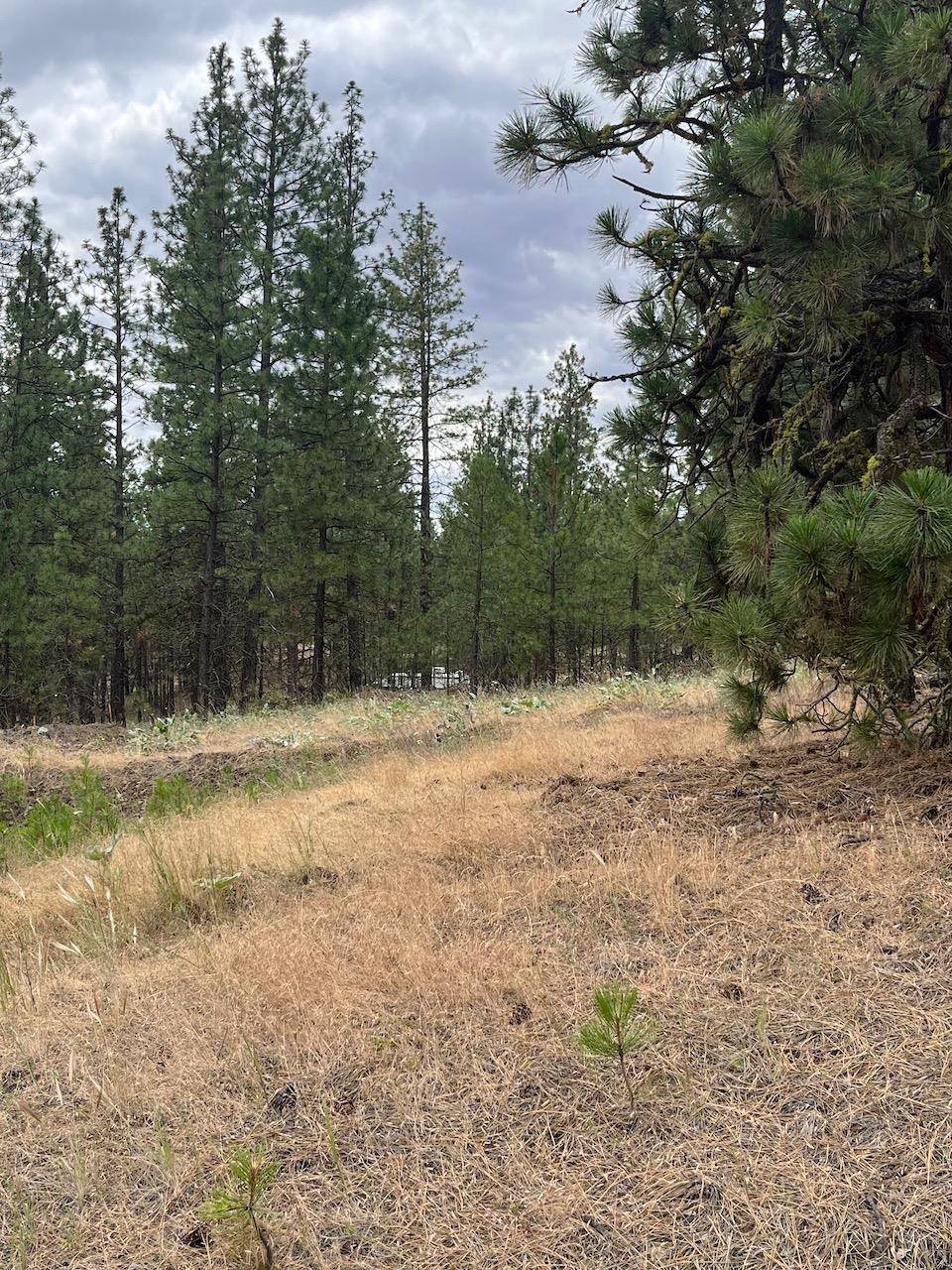 31676 Sontag Ridge E Dr, Davenport, WA 99122