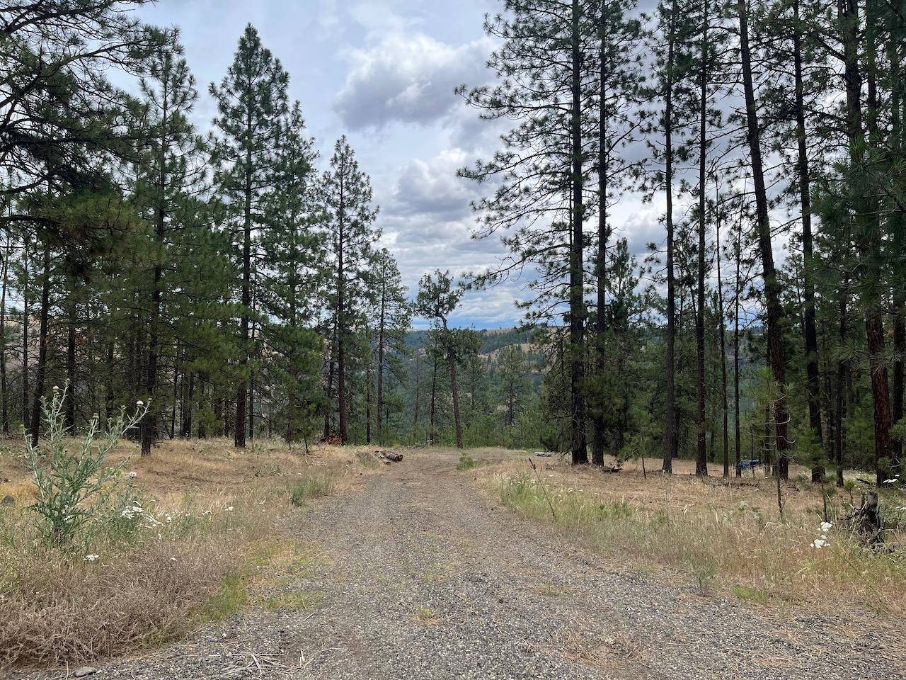 31676 Sontag Ridge E Dr, Davenport, WA 99122