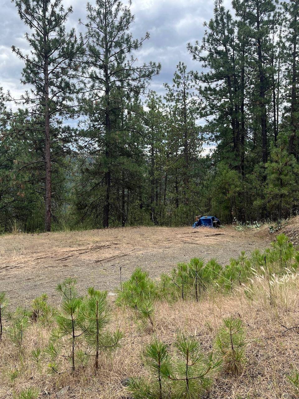 31676 Sontag Ridge E Dr, Davenport, WA 99122