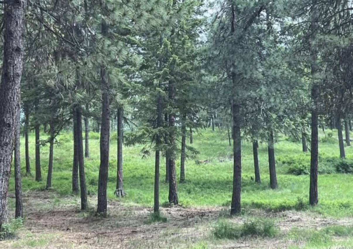 Lot #7 Bella Coola Dr, Inchelium, WA 99138