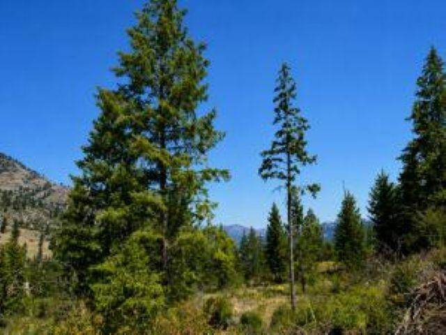 3634 N 25 Hwy, Northport, WA 99157