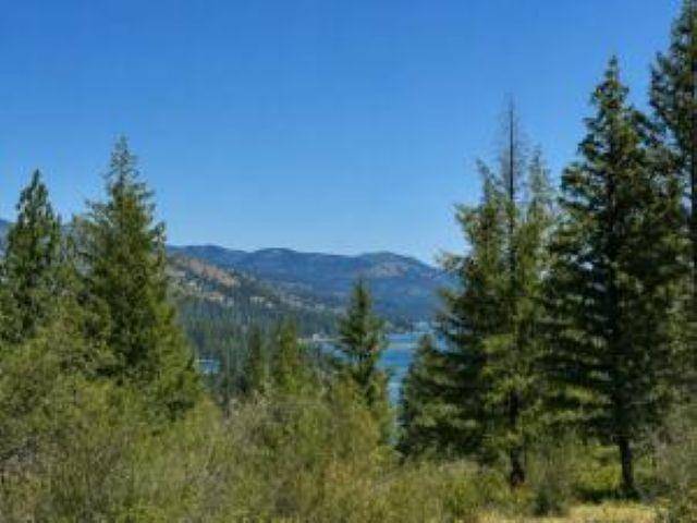 3634 N 25 Hwy, Northport, WA 99157