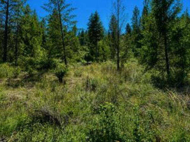 3634 N 25 Hwy, Northport, WA 99157