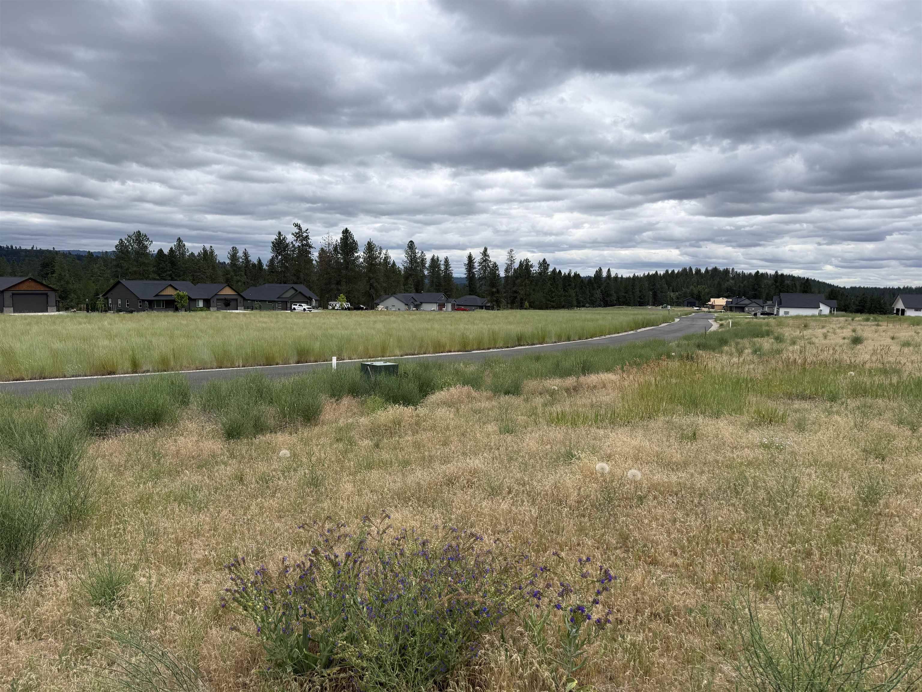 4207 E Molly Jean Ln, Chattaroy, WA 99003