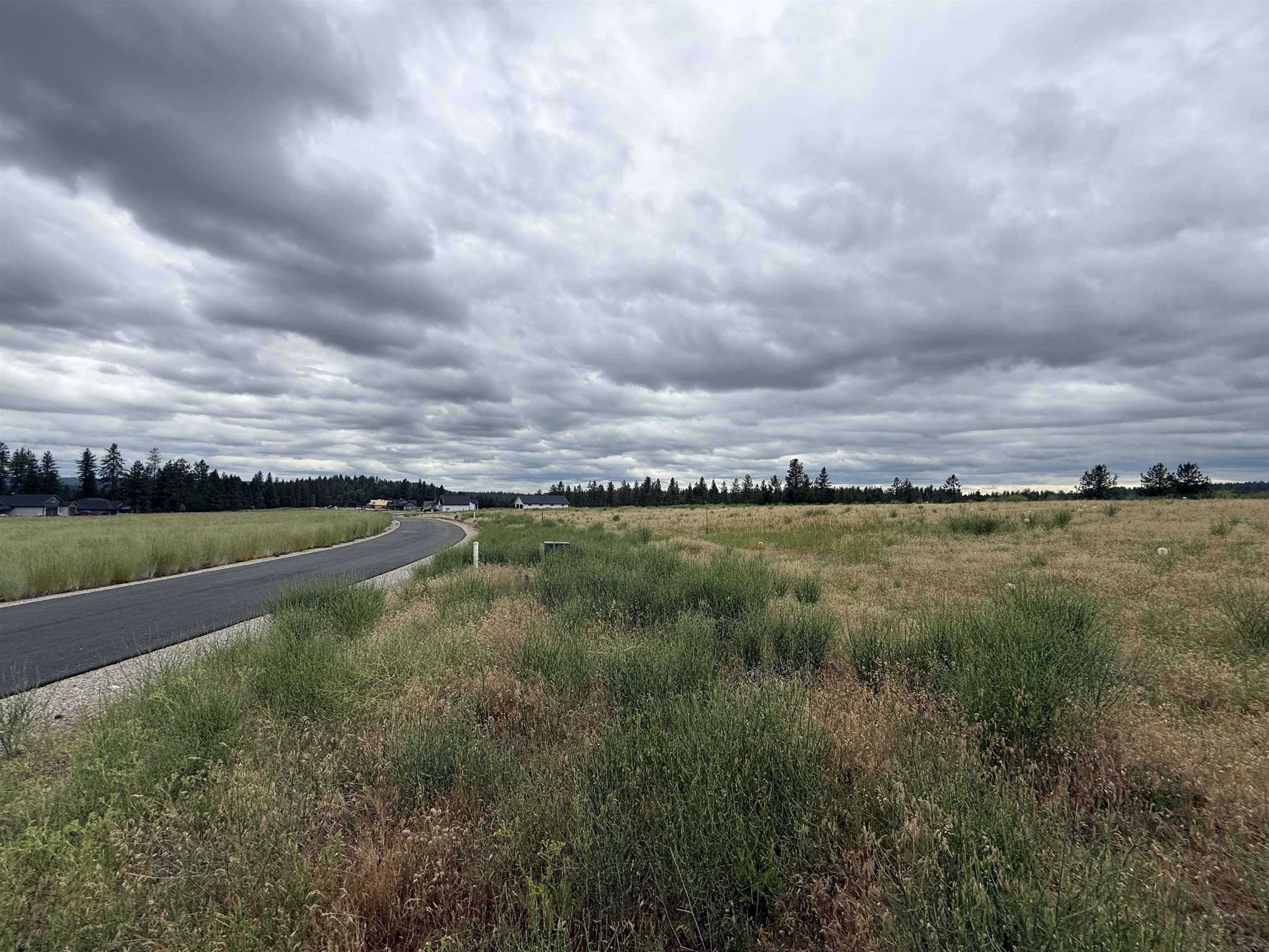 4207 E Molly Jean Ln, Chattaroy, WA 99003