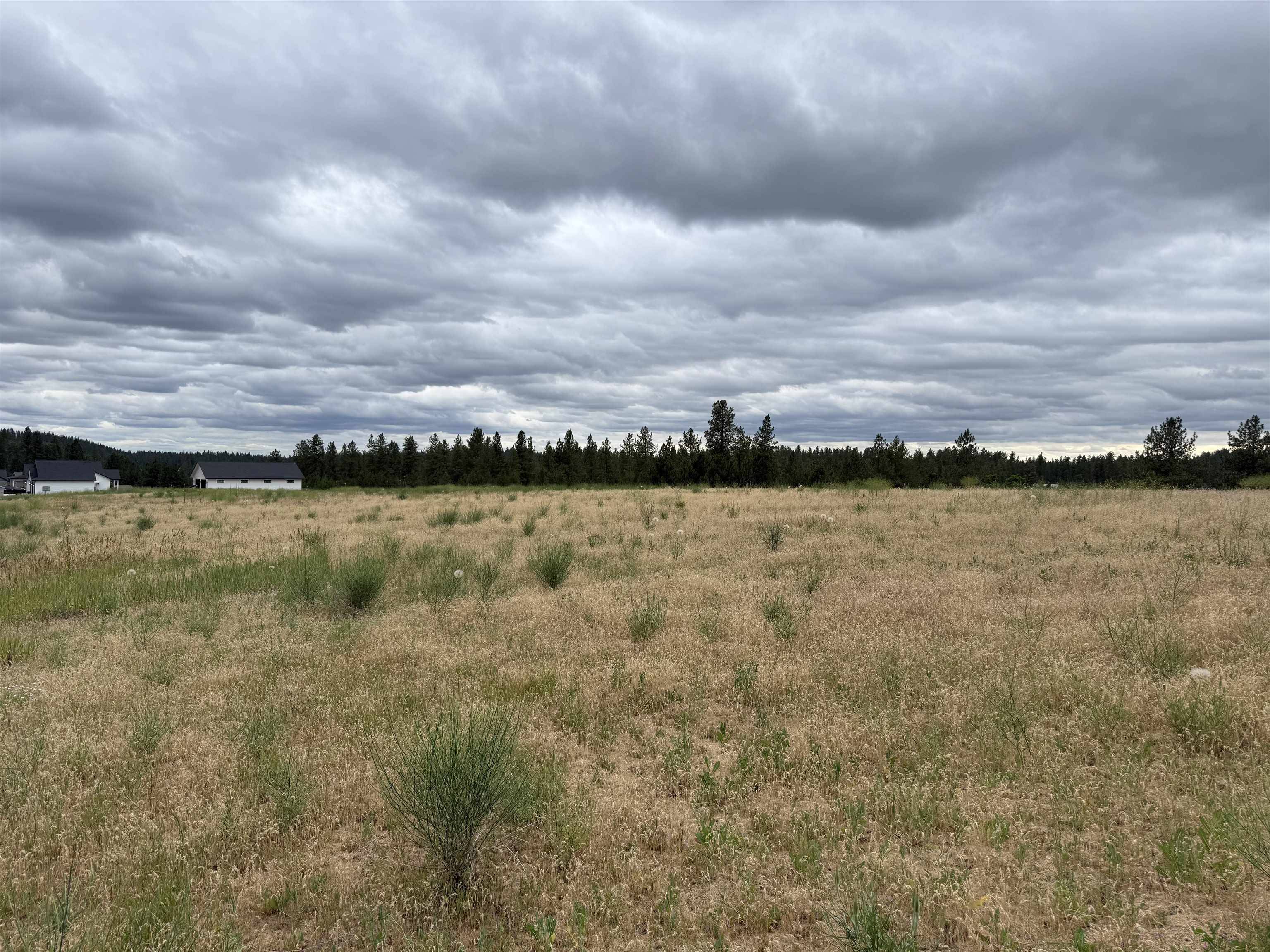 4207 E Molly Jean Ln, Chattaroy, WA 99003