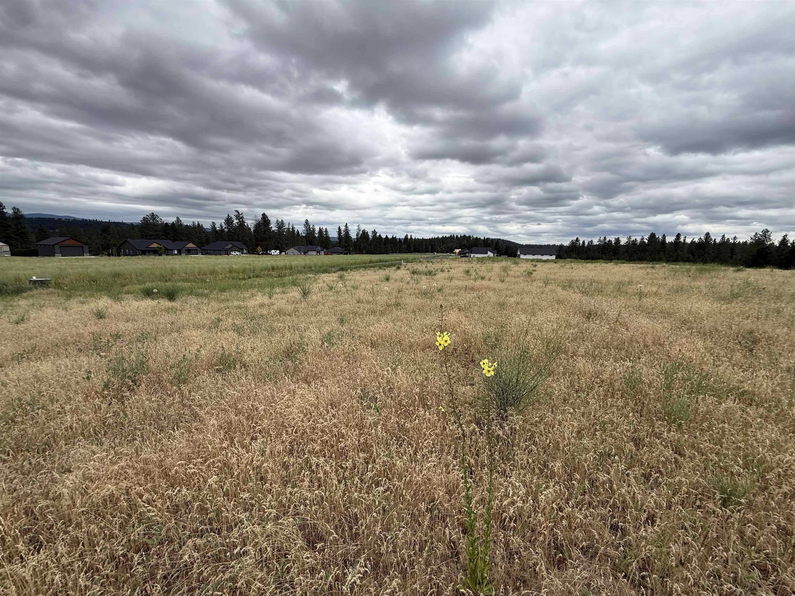 4207 E Molly Jean Ln, Chattaroy, WA 99003