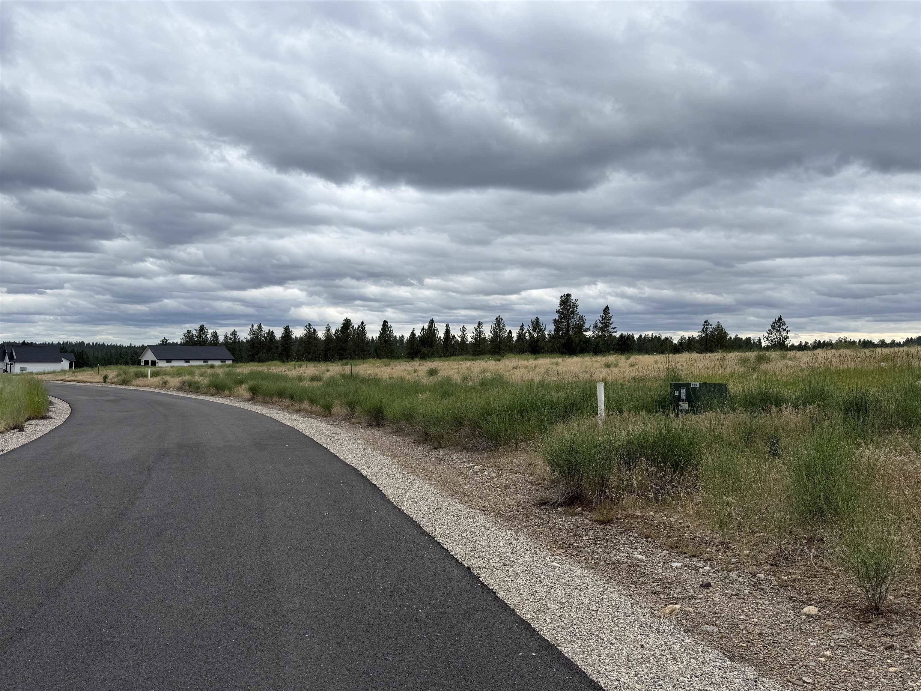 4207 E Molly Jean Ln, Chattaroy, WA 99003