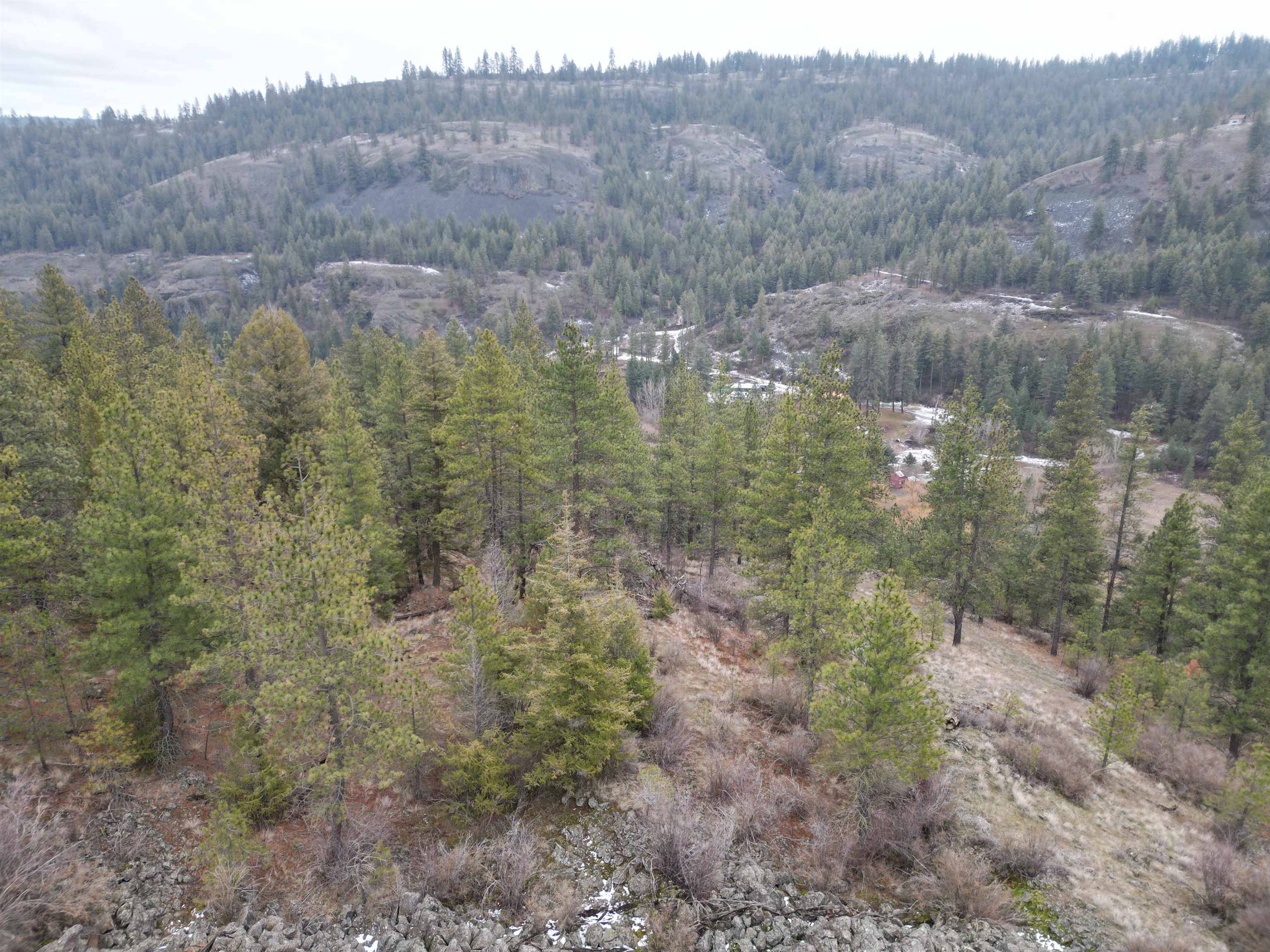 33055 Hawk Creek Ranch Rd N Rd, Davenport, WA 99122