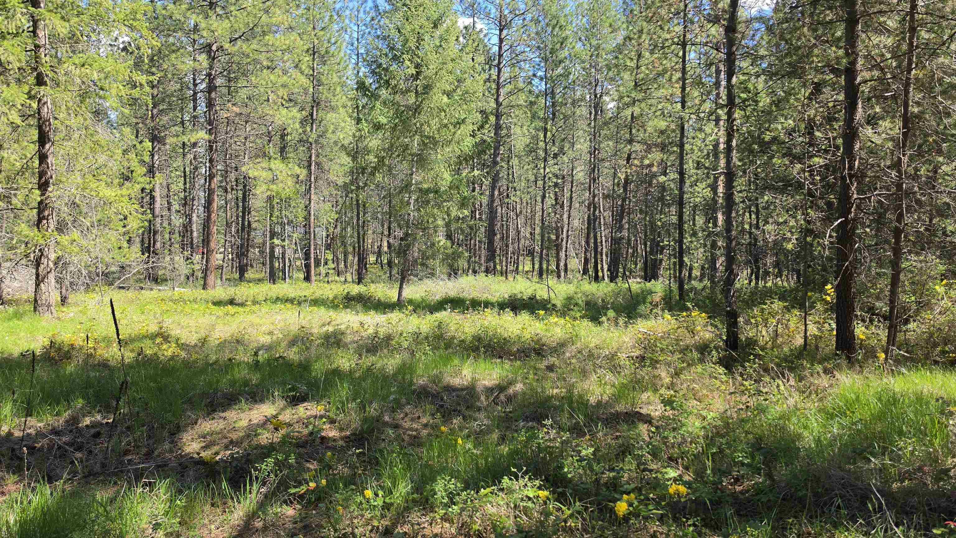230XX N Crescent Rd, Colbert, WA 99005