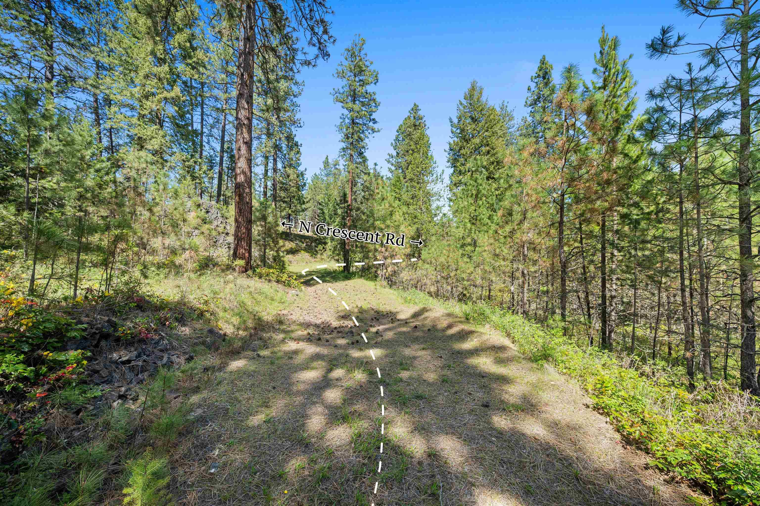 230XX N Crescent Rd, Colbert, WA 99005