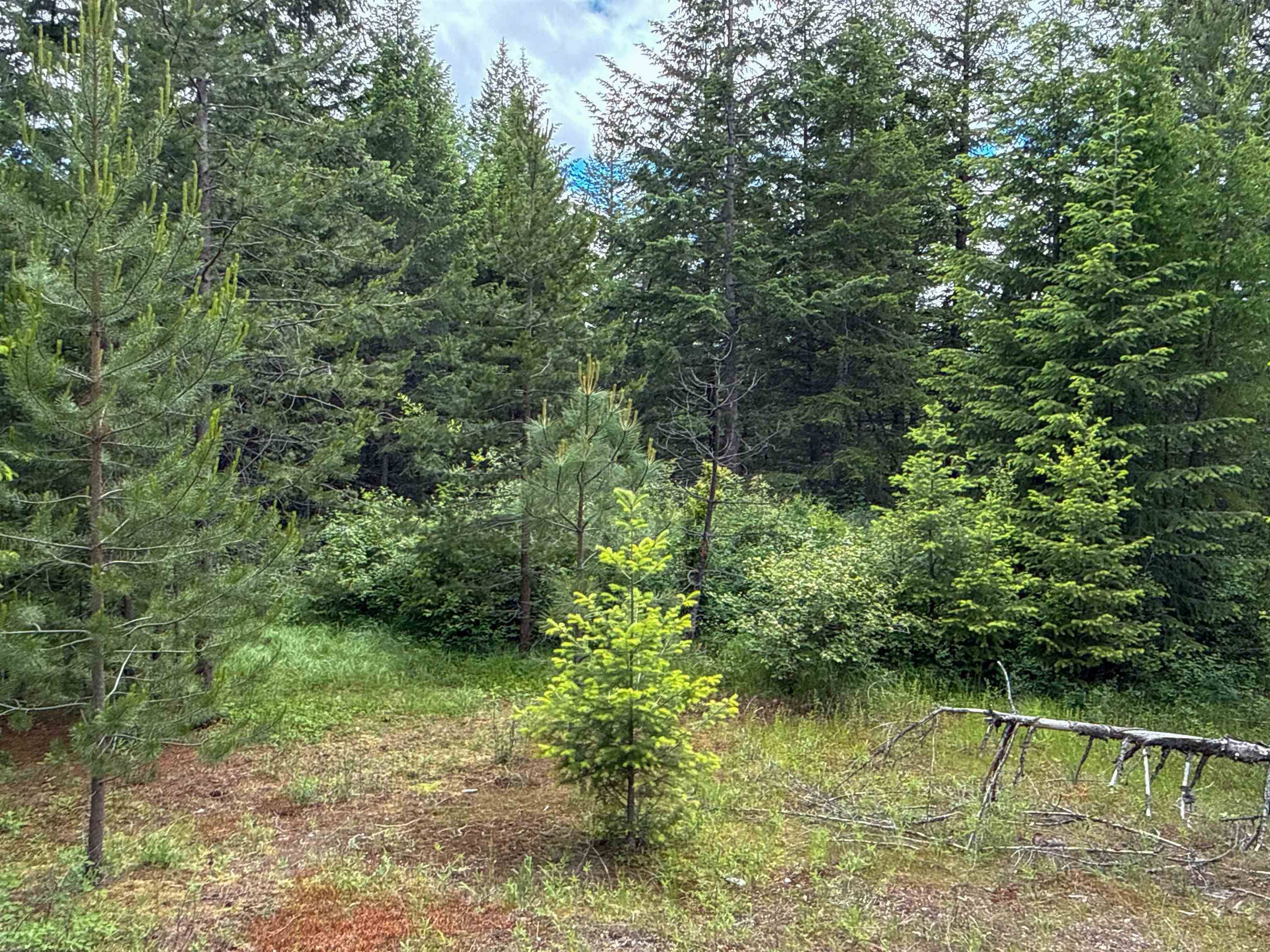 NKA Deer Ln, Mead, WA 99021