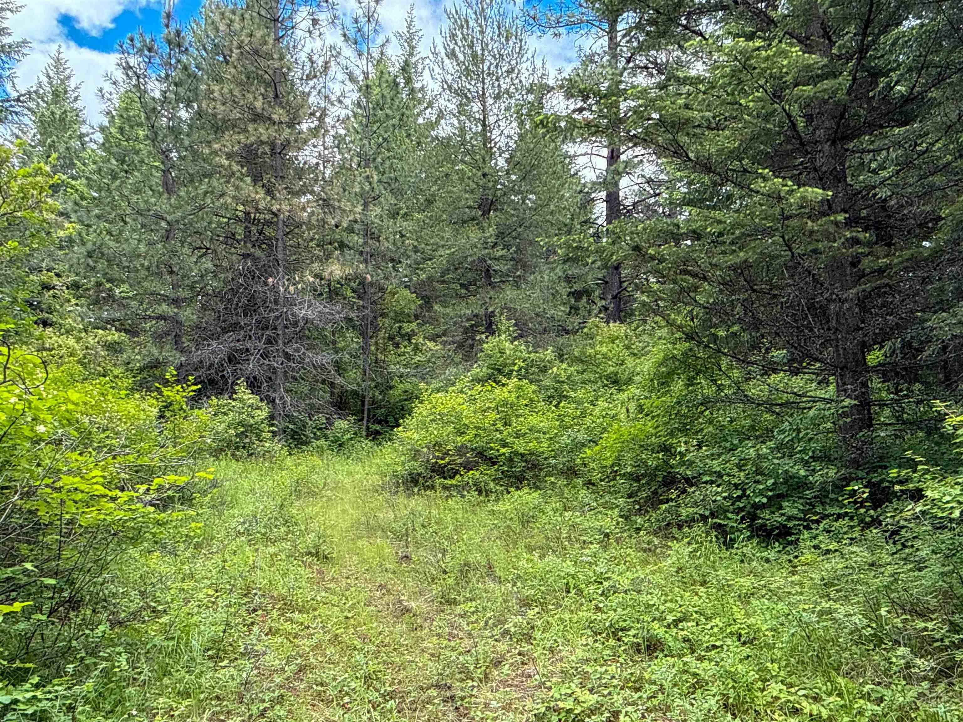 NKA Deer Ln, Mead, WA 99021
