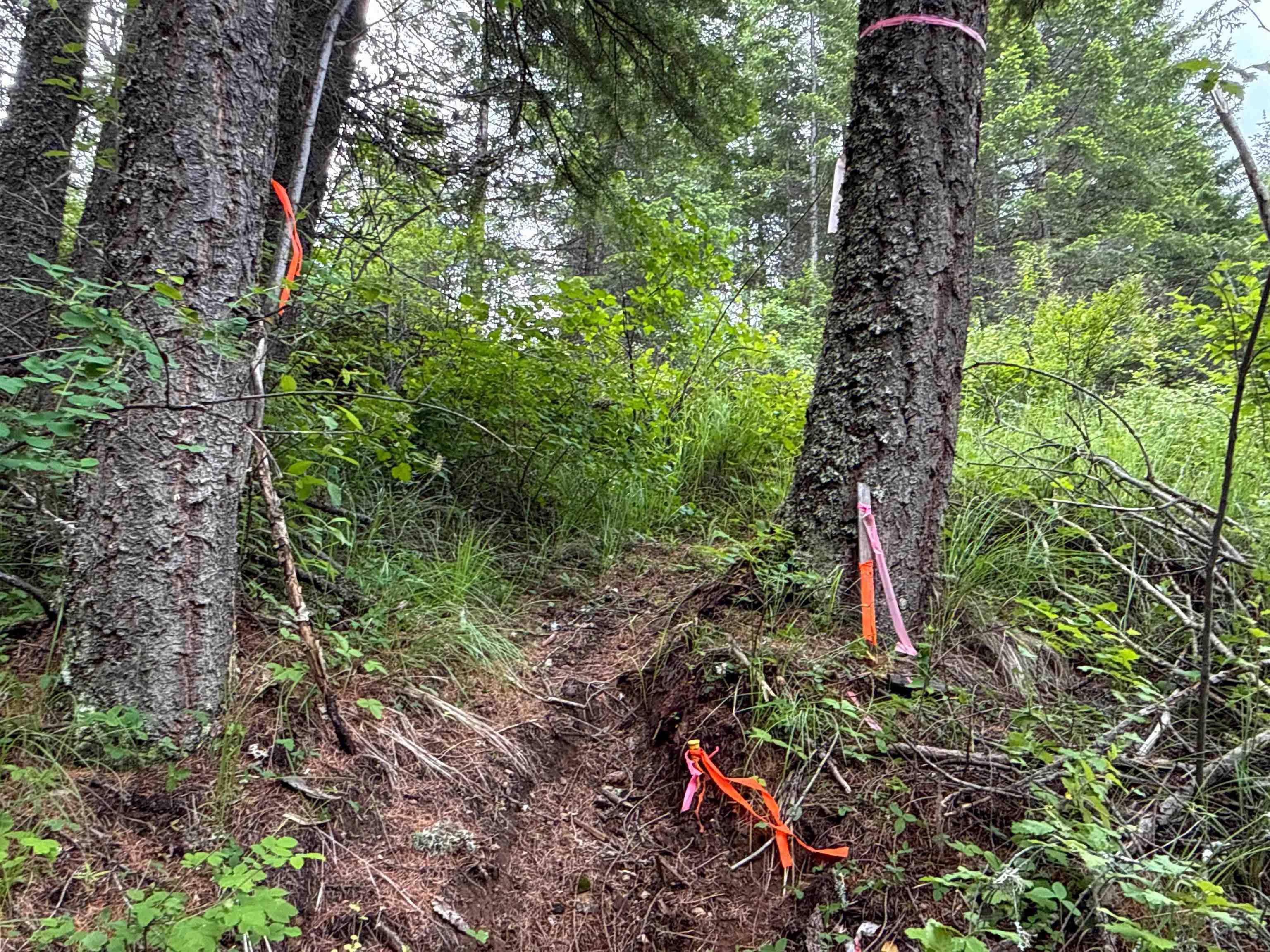 NKA Deer Ln, Mead, WA 99021