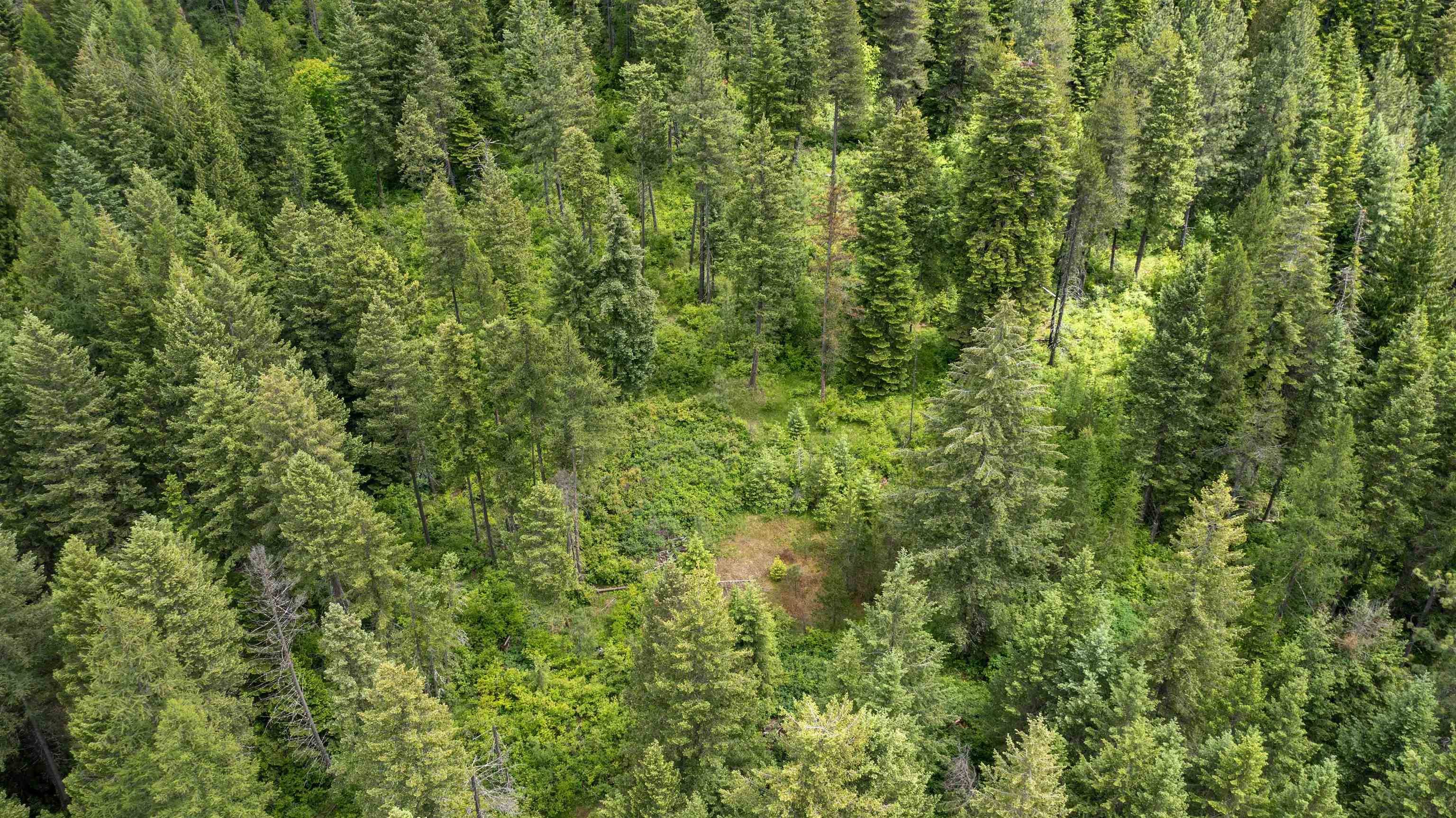 NKA Deer Ln, Mead, WA 99021