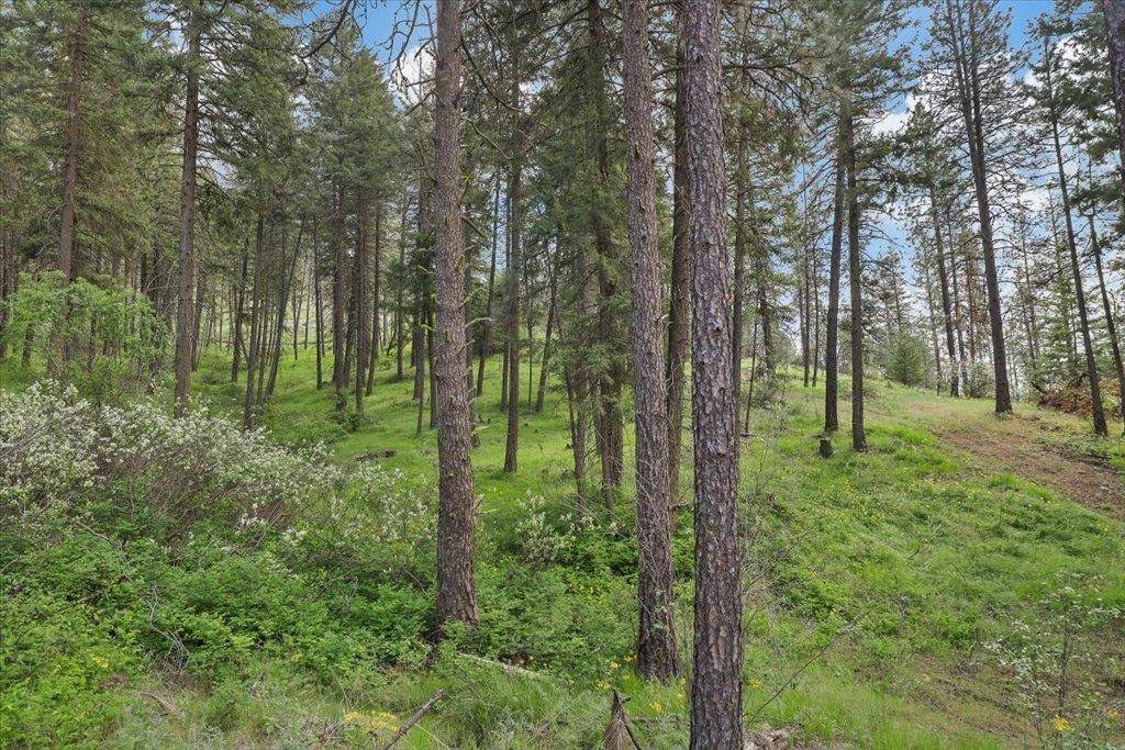 NKA Weaver WAY #Lot 4 of Lot 1, Deer Park, WA 99006