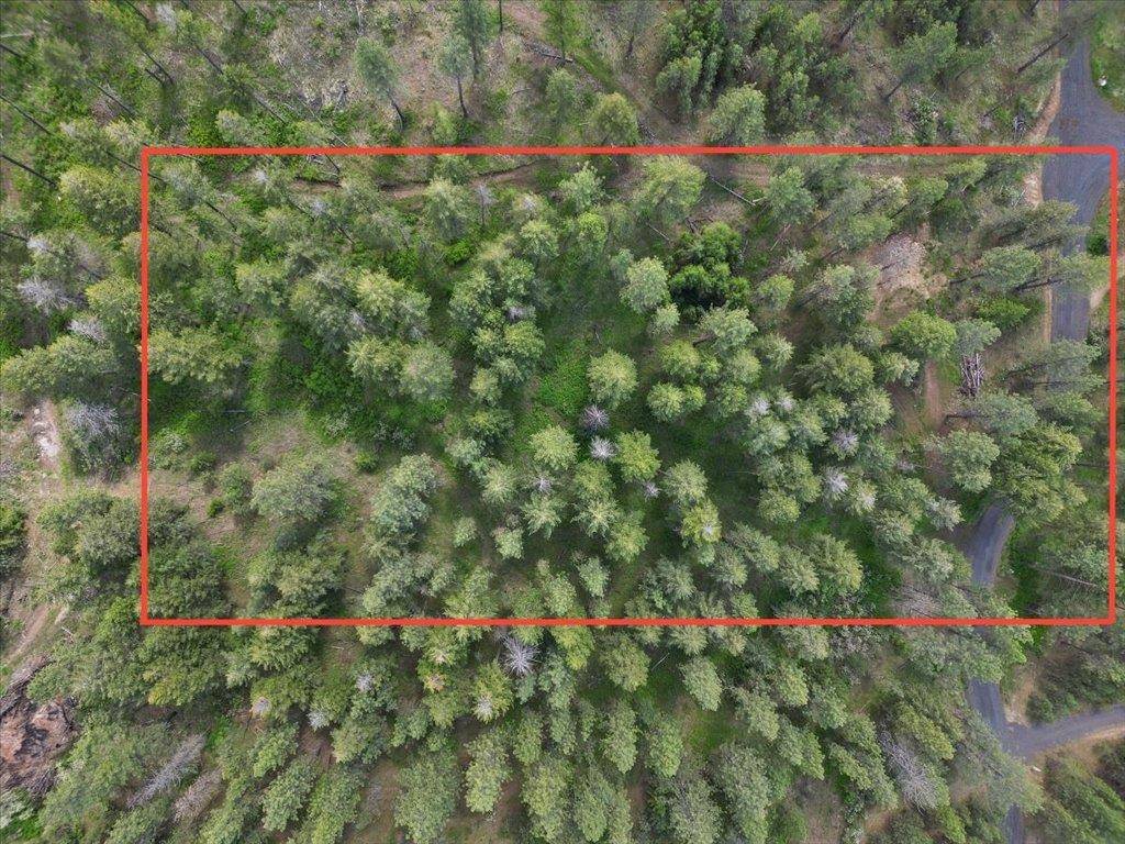 NKA Weaver WAY #Lot 4 of Lot 1, Deer Park, WA 99006