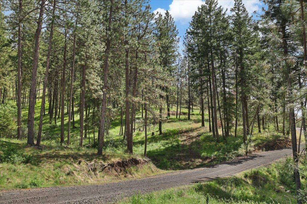 NKA Weaver WAY #Lot 4 of Lot 1, Deer Park, WA 99006