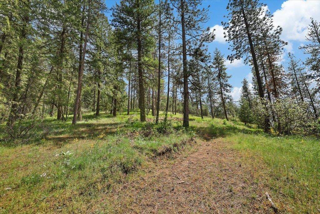 NKA Weaver WAY #Lot 4 of Lot 1, Deer Park, WA 99006