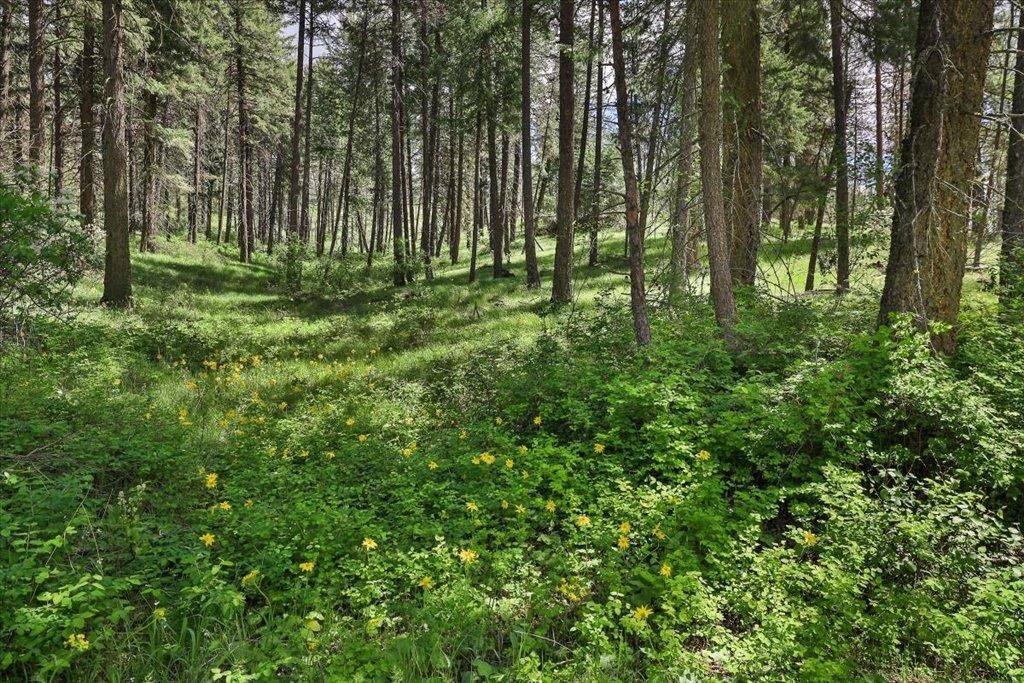 NKA Weaver WAY #Lot 4 of Lot 1, Deer Park, WA 99006