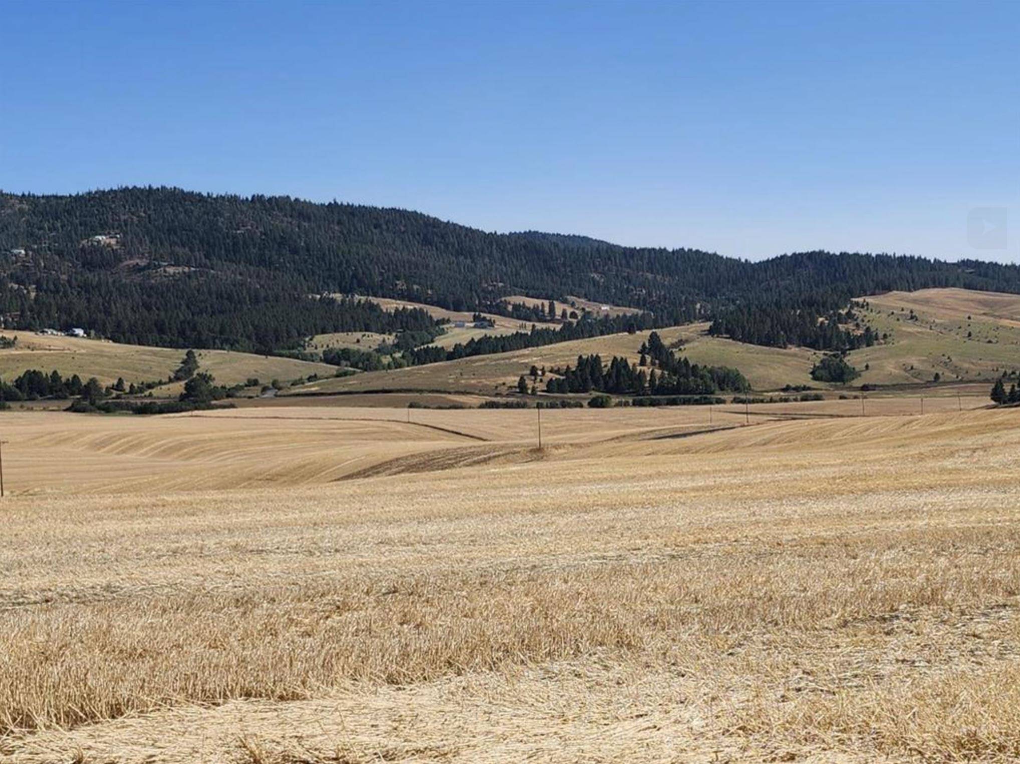 8006 S Jackson Rd, Mica, WA 99023