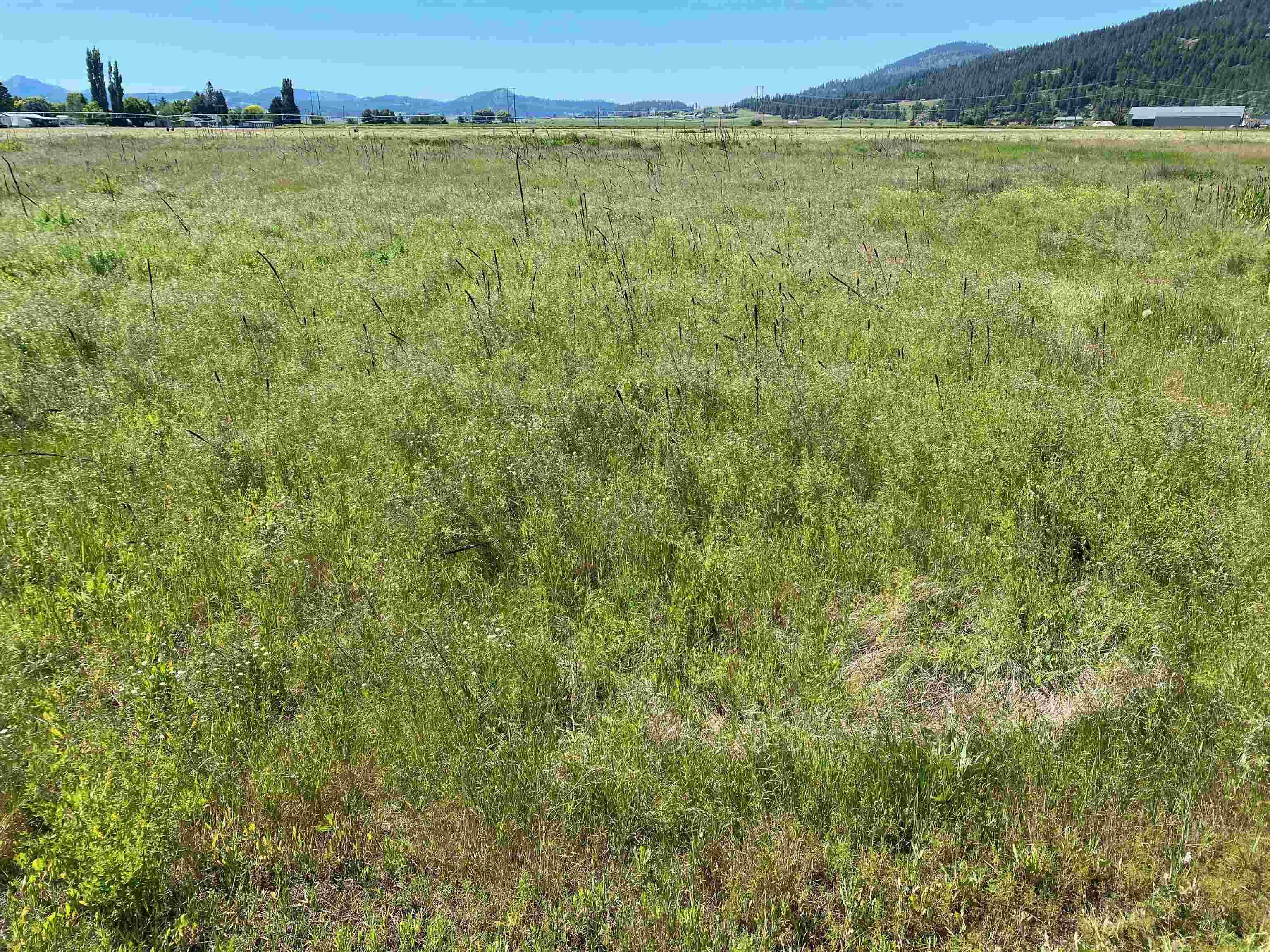 13xx Indian Springs Trl, Chewelah, WA 99019